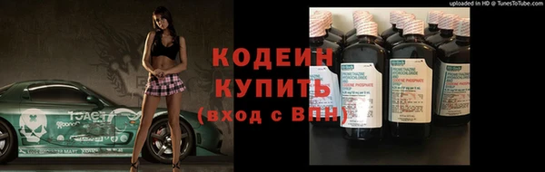 спиды Вяземский