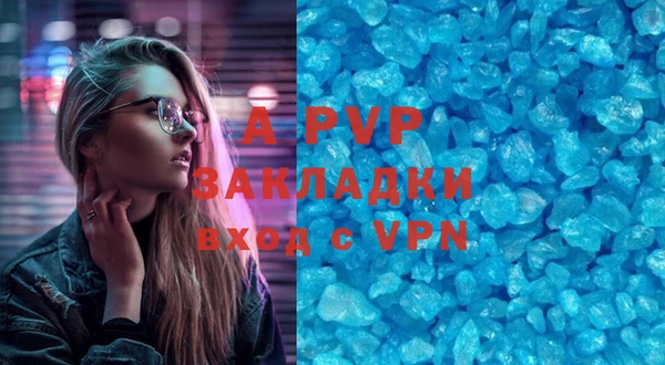 спиды Вяземский