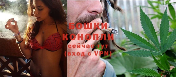 спиды Вяземский