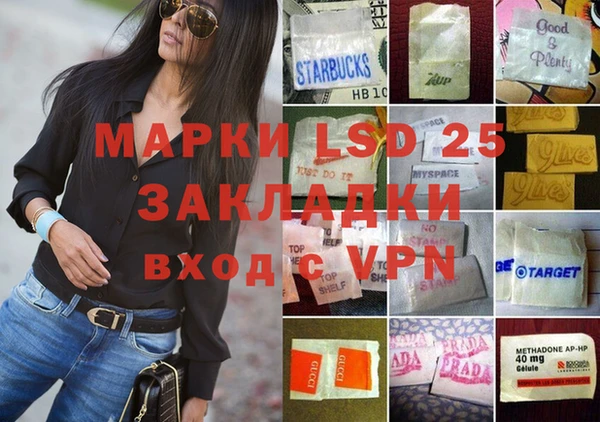 спиды Вяземский
