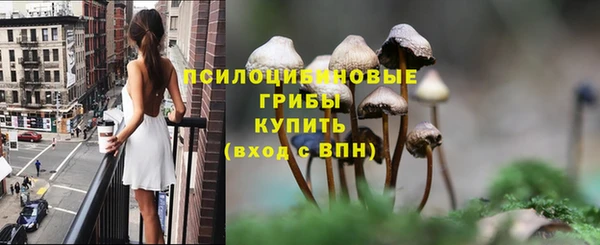 спиды Вяземский