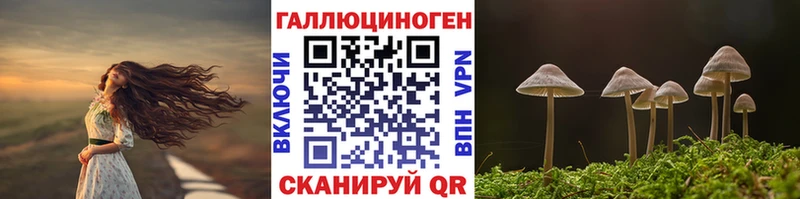 Галлюциногенные грибы MAGIC MUSHROOMS  цена   Нальчик 